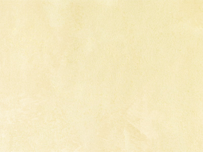 AN865