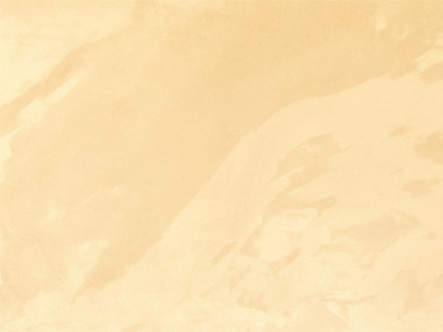 AN873